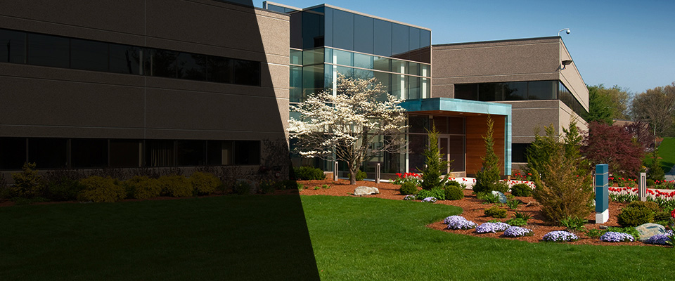 Ponte Vedra Beach Landscapers