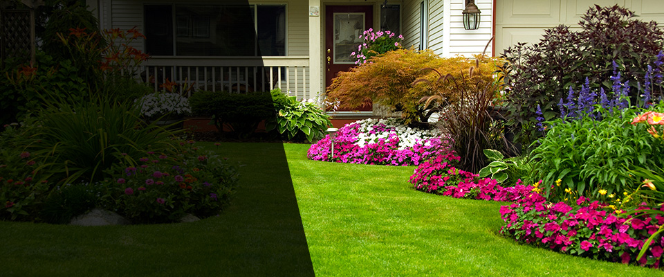 Ponte Vedra Beach Landscapers
