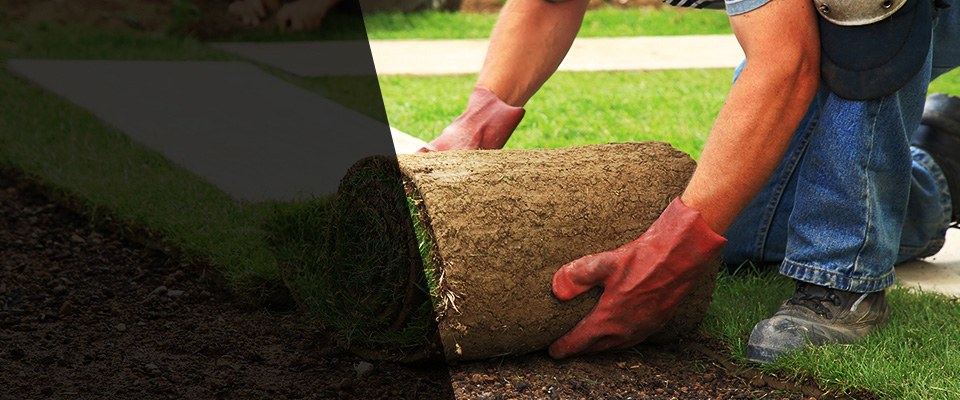 Ponte Vedra Beach Landscapers